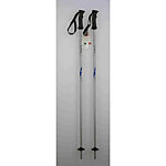 Alpina Masters Excite Kids Ski Poles