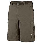 Columbia Silver Ridge Cargo 12 Inch Mens Shorts