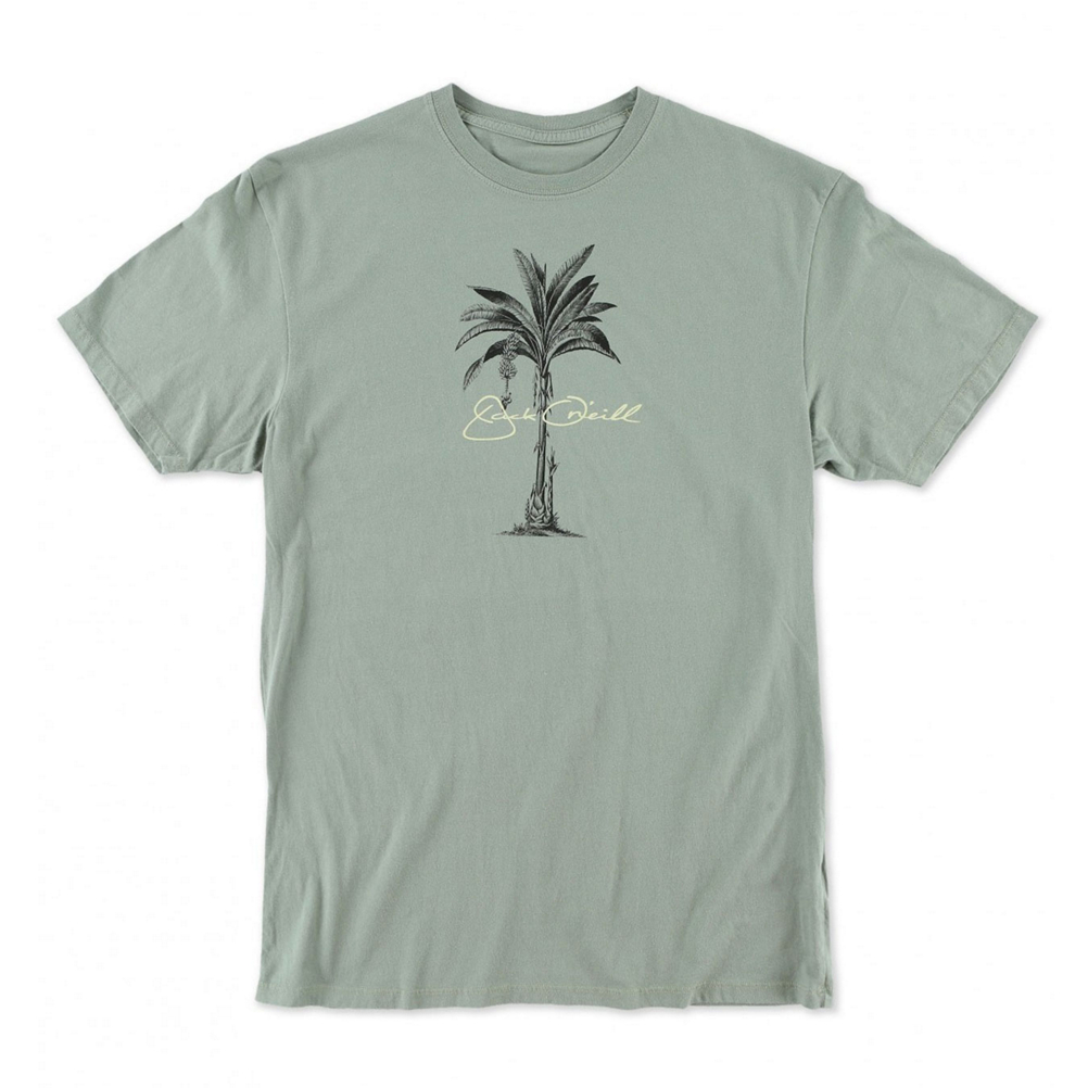 ONeill Perennial Mens T Shirt