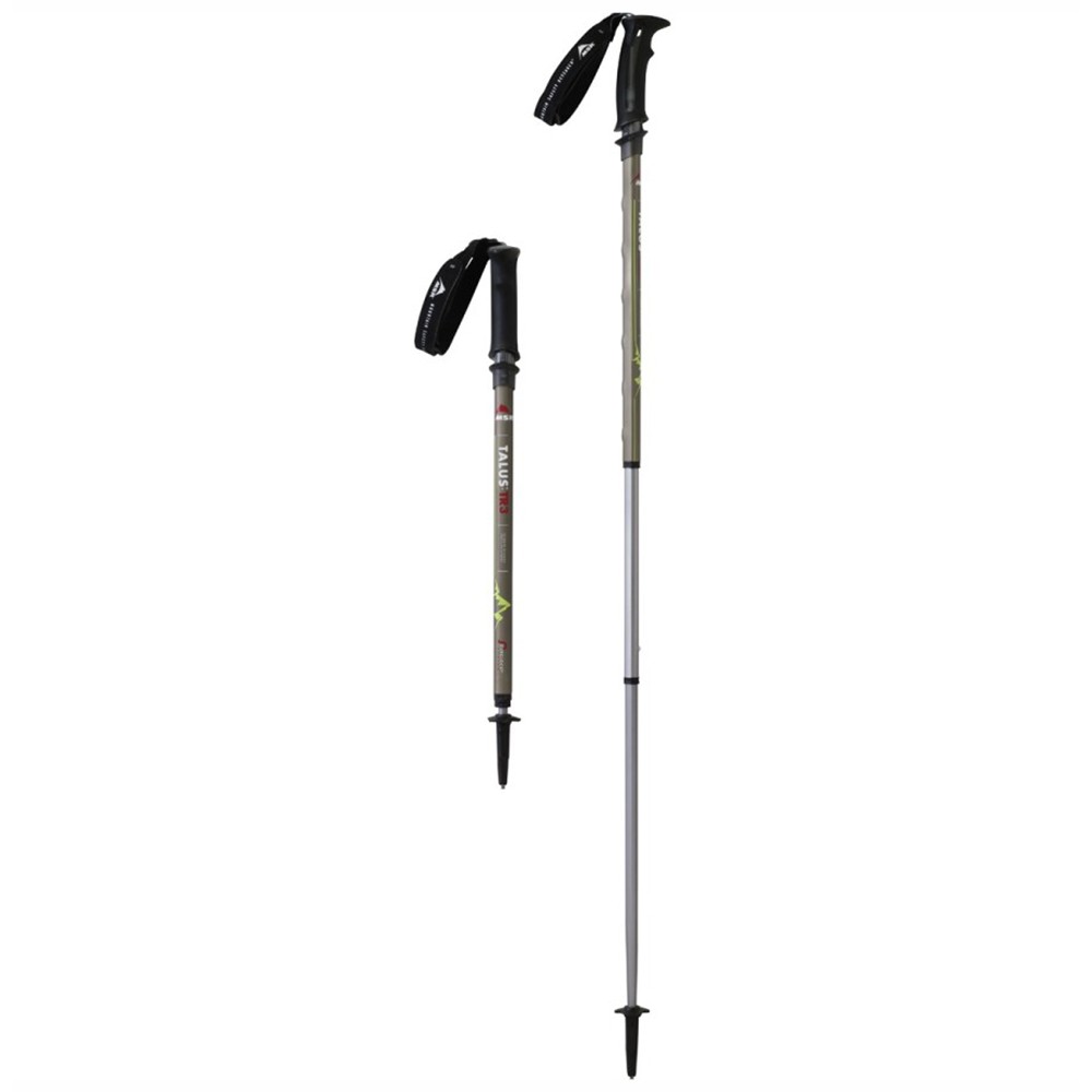 MSR Talus TR 3 Trekking Poles