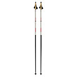 Rossignol Force 5 Cross Country Ski Poles 2019