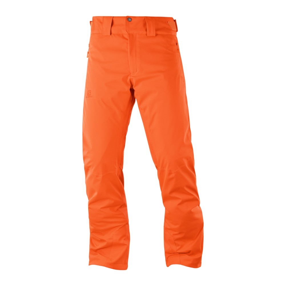 Salomon Stormrace Mens Ski Pants