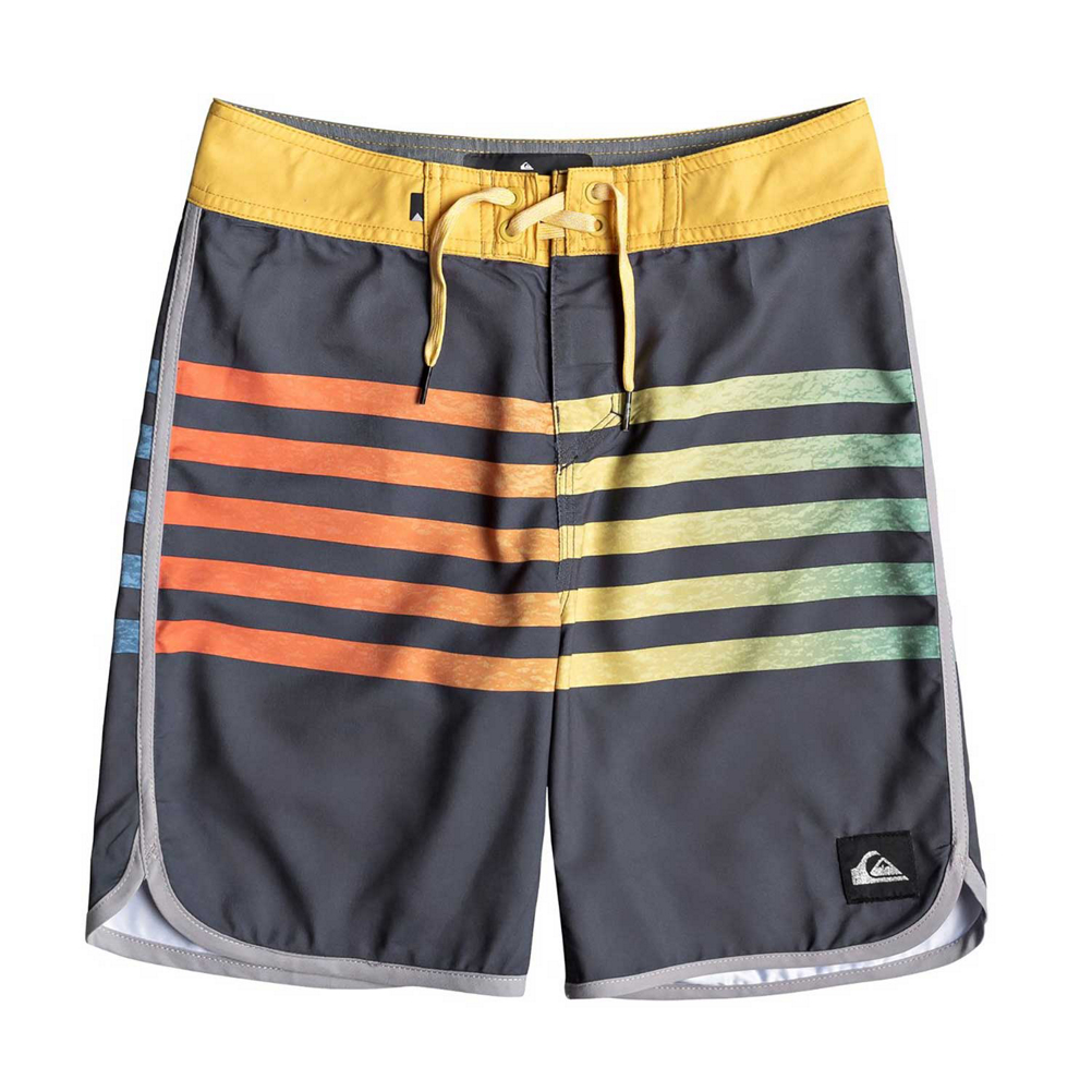 Quiksilver Everyday Grass Roots Boys Bathing Suit