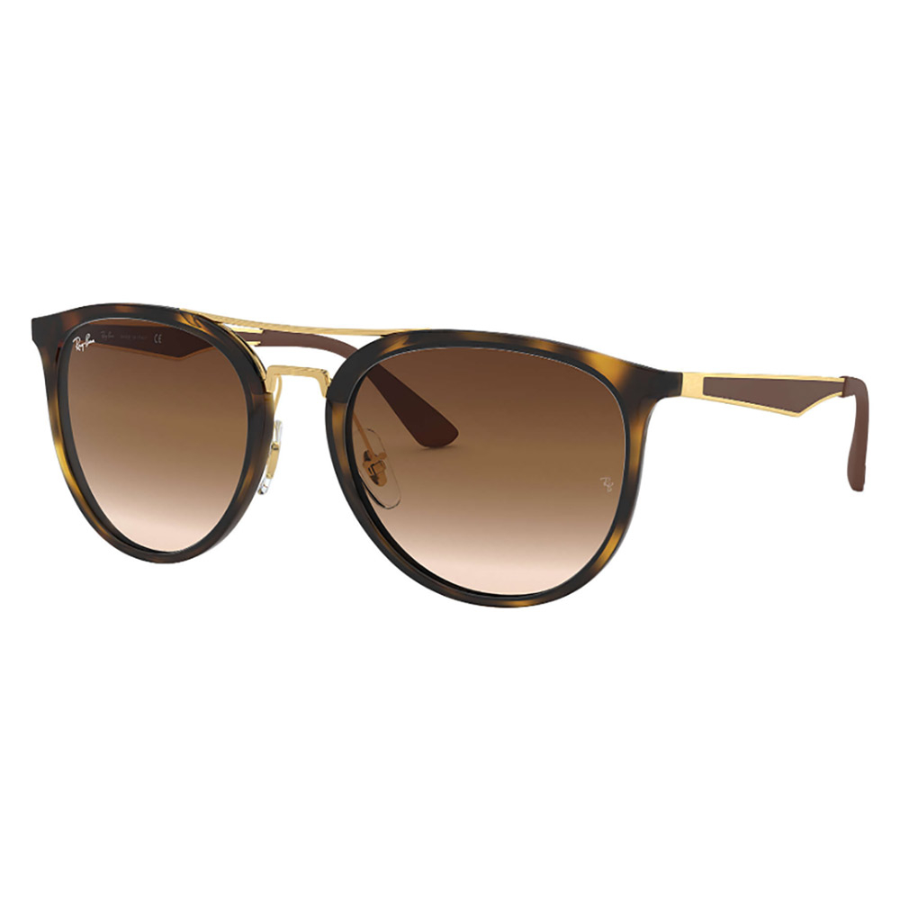 Ray-Ban 4285 Sunglasses 2019