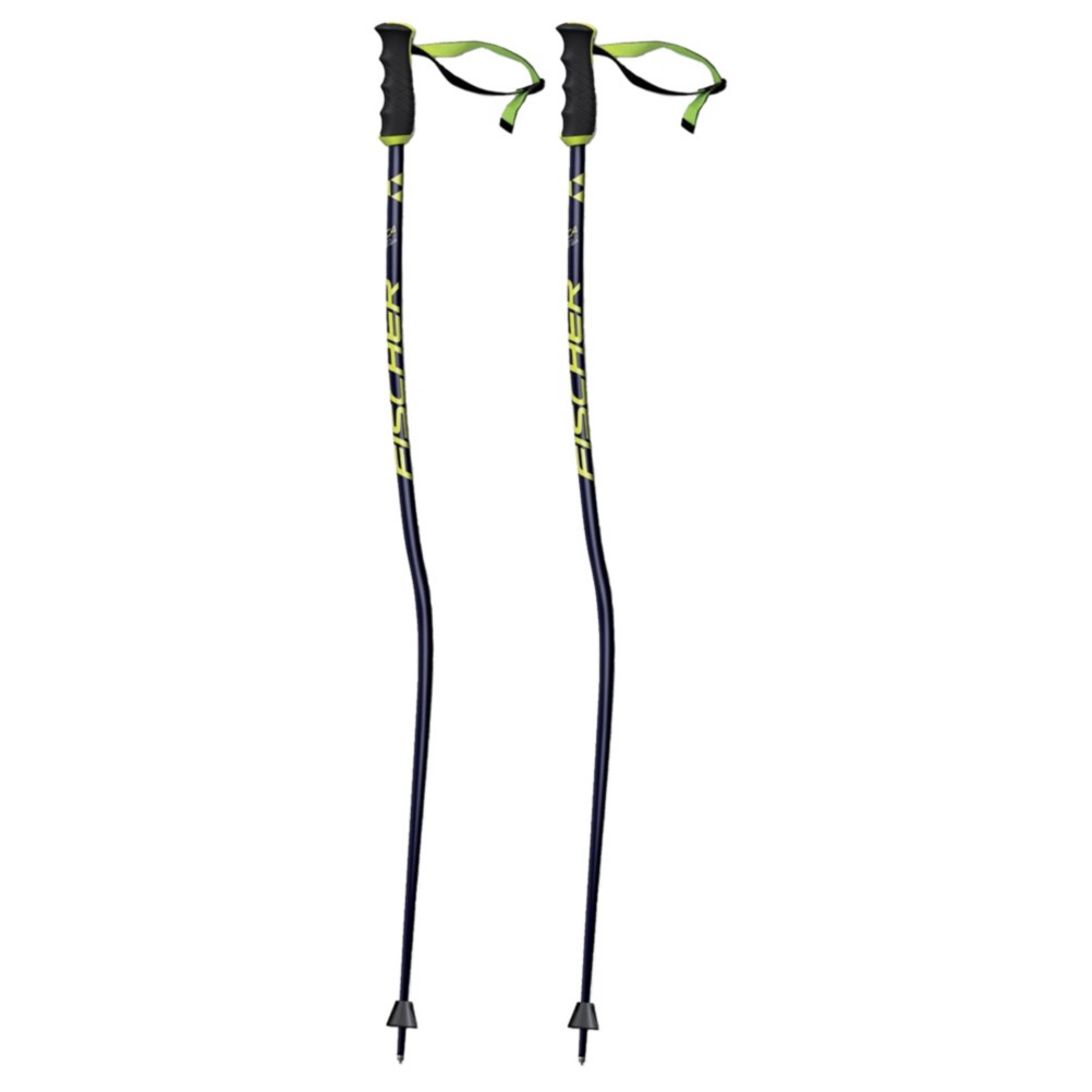 Fischer RC4 GS Ski Poles 2019