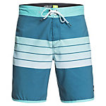 Quiksilver Everyday Grass Roots Mens Board Shorts
