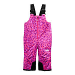 The North Face Snowquest Insulated Toddler Girls Ski Bibs 2022