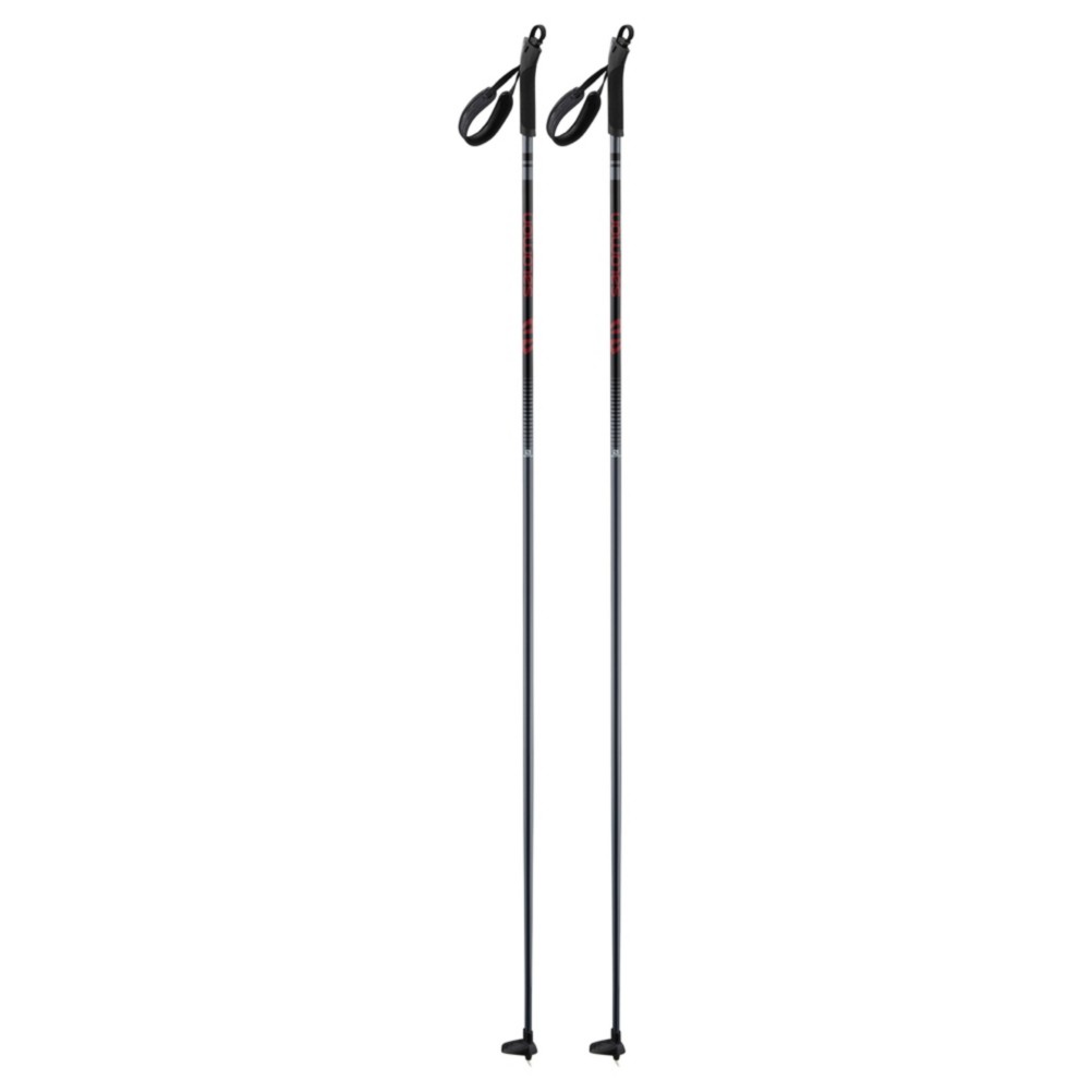 Salomon Escape Cross Country Ski Poles 2022