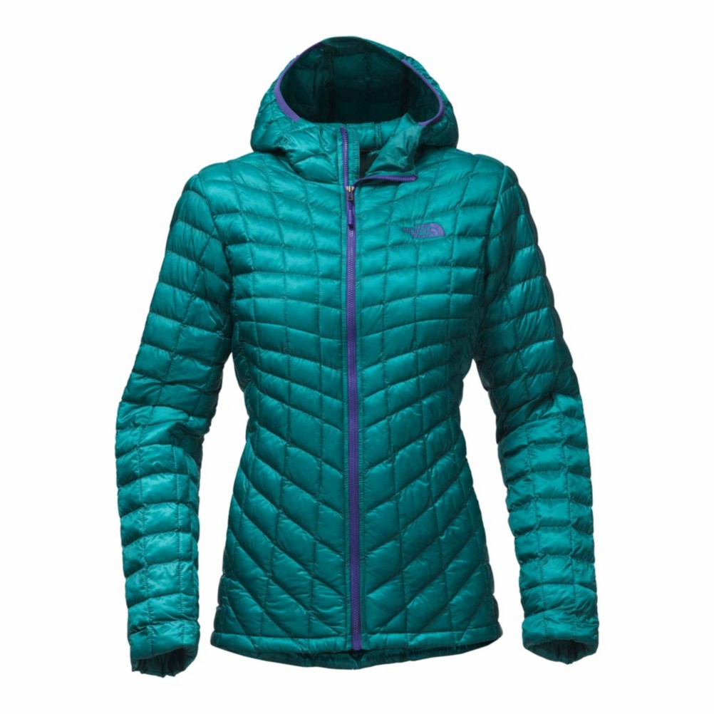 the north face thermoball hooded