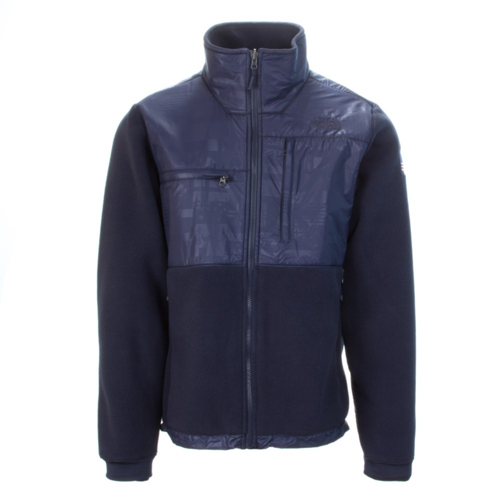 the north face international collection denali 2 jacket