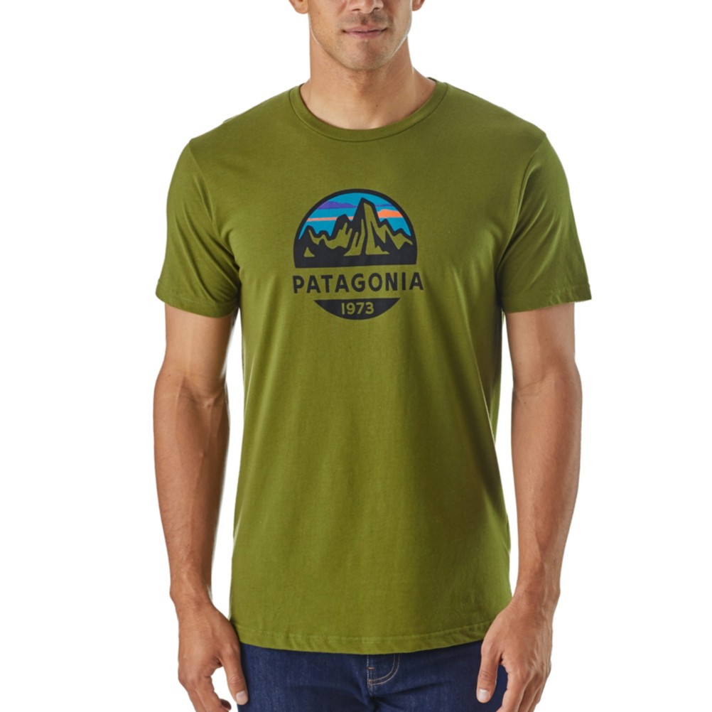 patagonia 1973 logo t-shirt