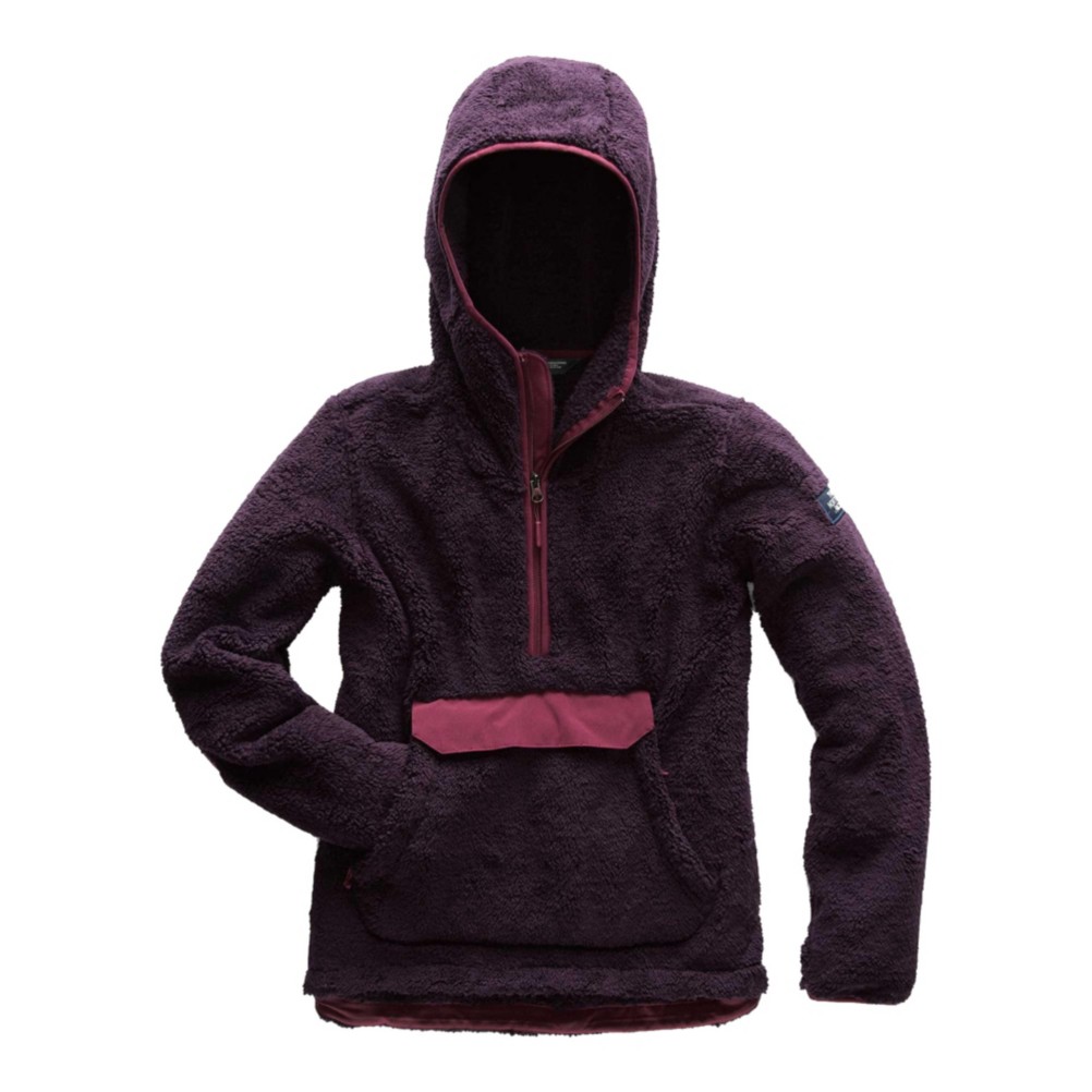 the north face campshire sherpa hoodie sweatshirt