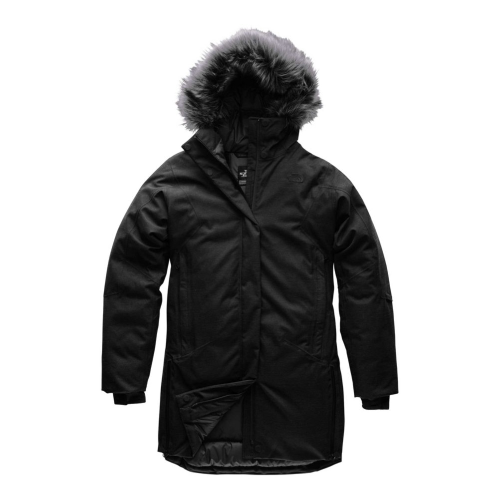 the north face gtx parka