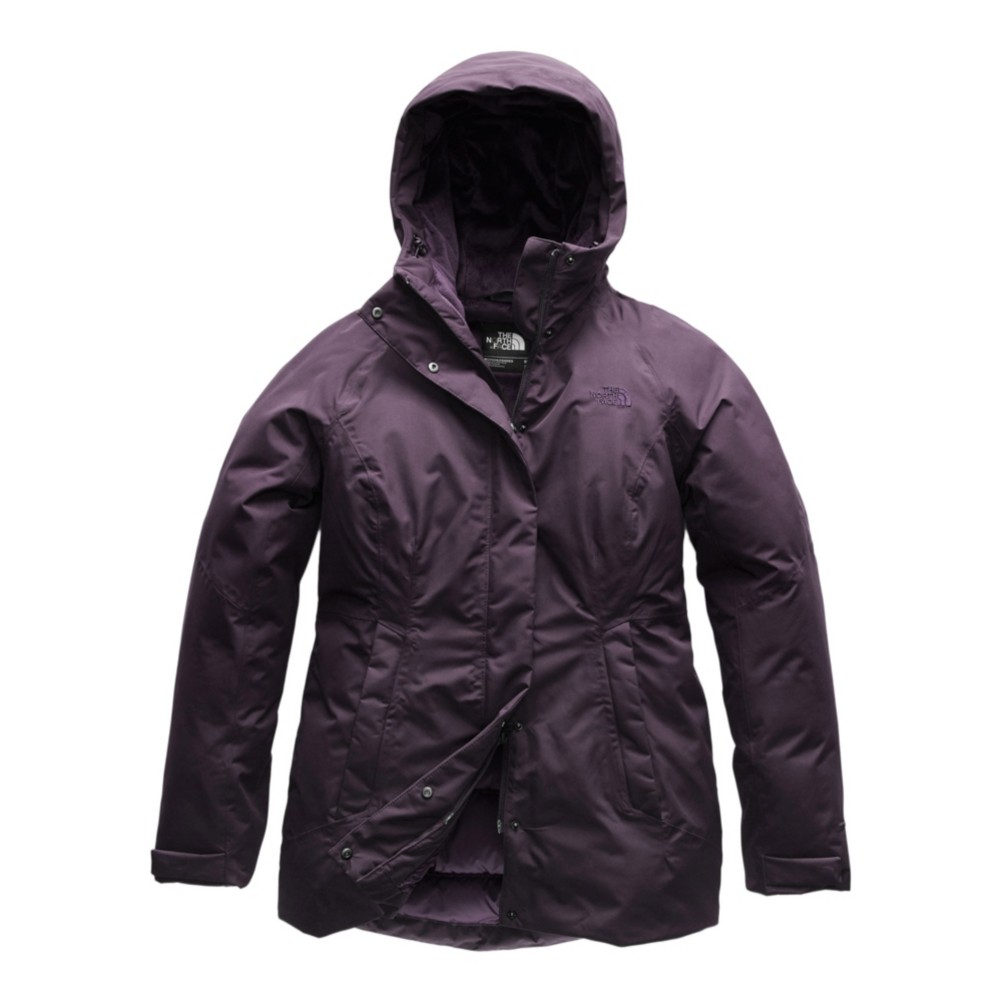 the north face toastie coastie waterproof 550 fill power down parka