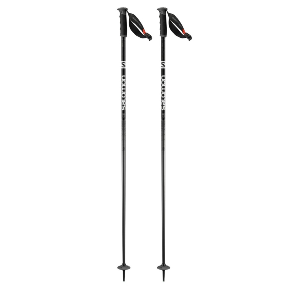 salomon arctic s3 ski poles