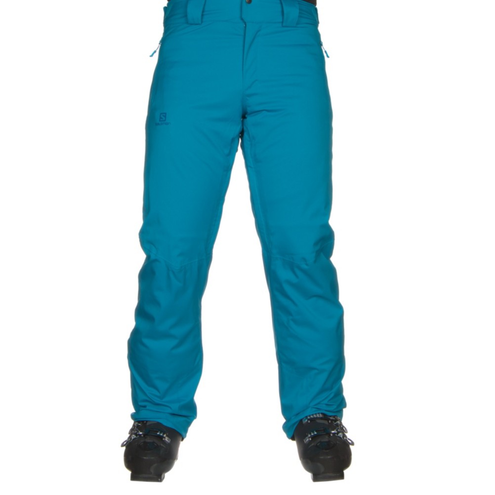 salomon stormrace pant
