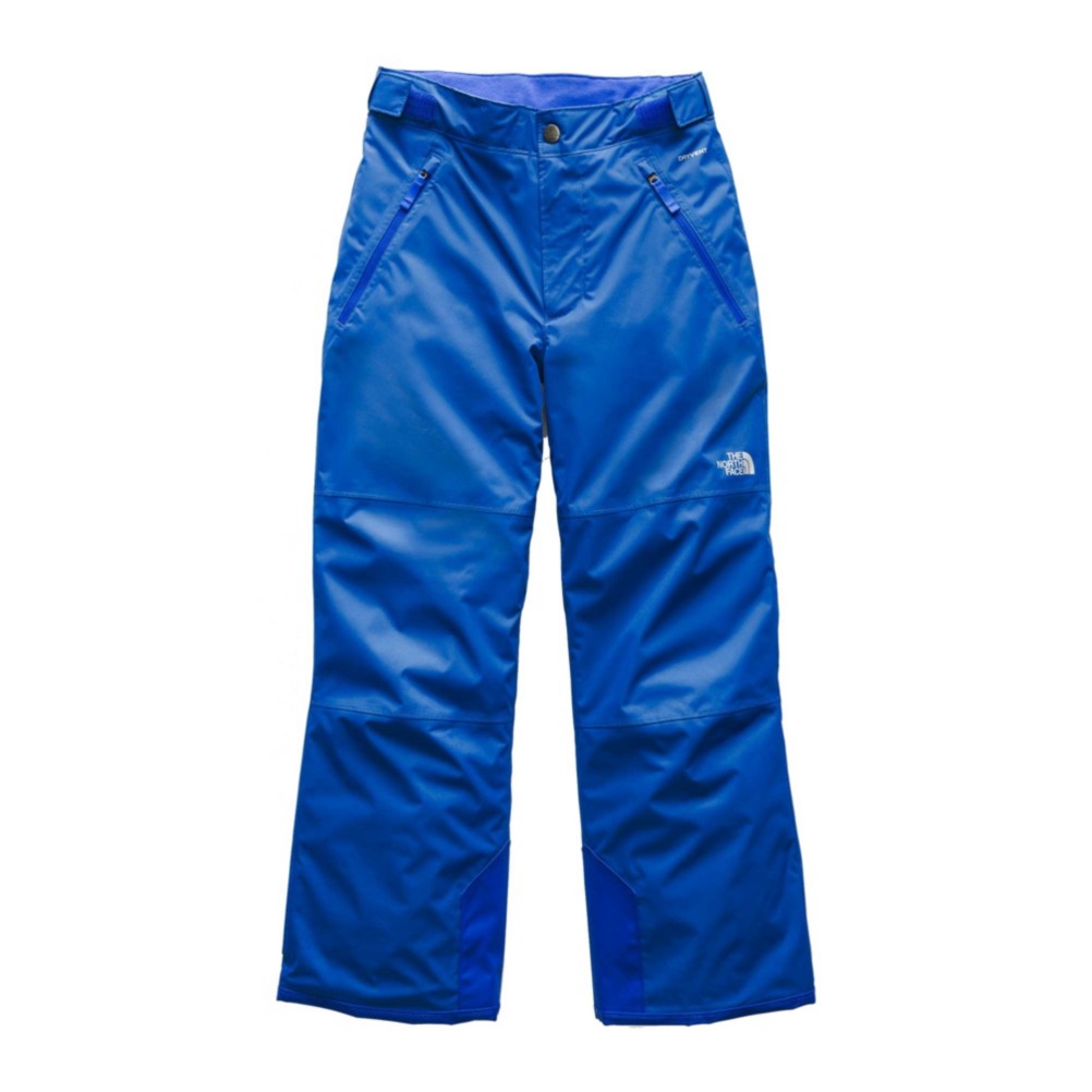 the north face freedom ski pants
