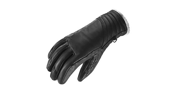 salomon native