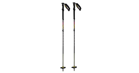 salomon carbon poles