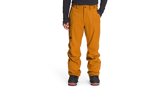 mens north face freedom ski pants
