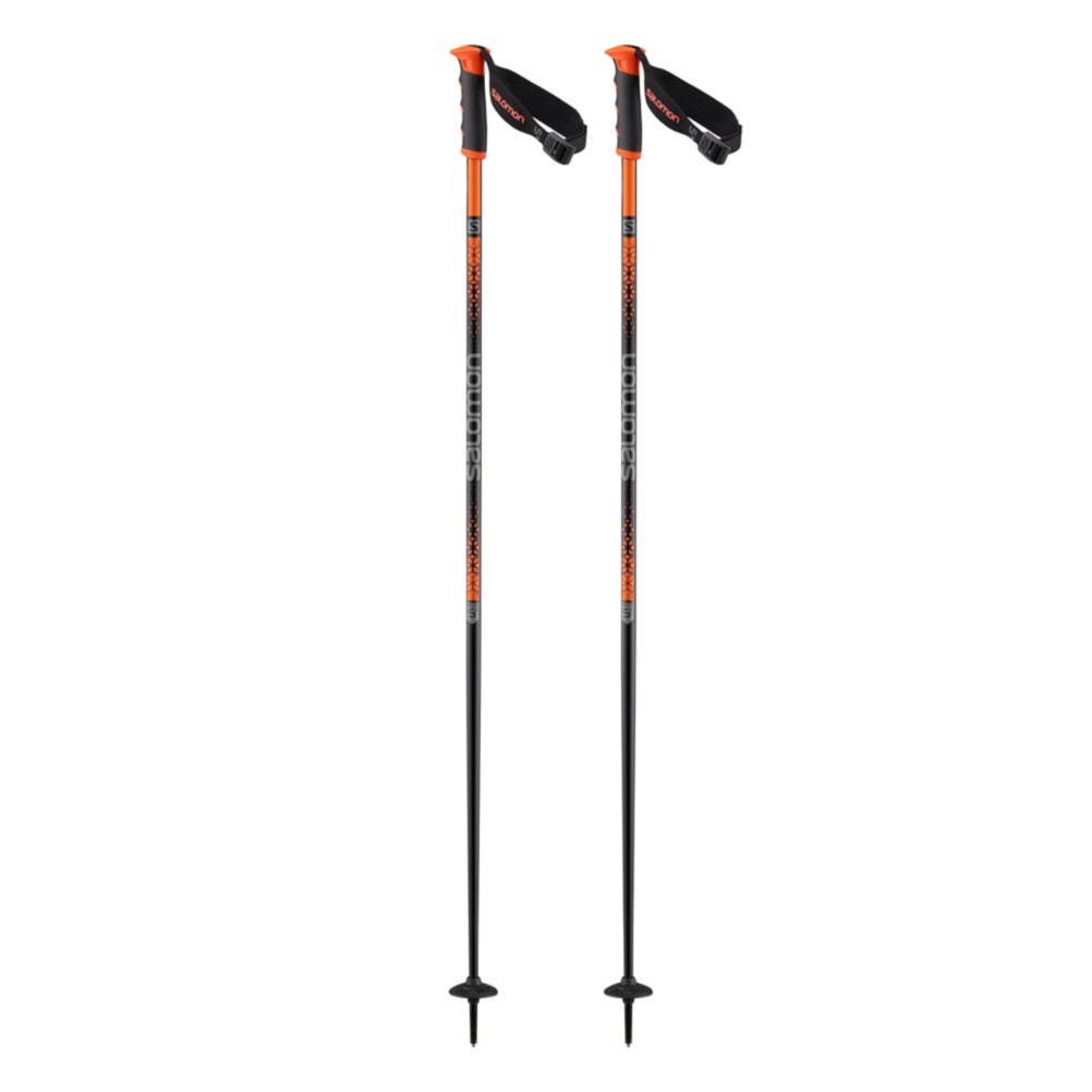 salomon arctic ski pole