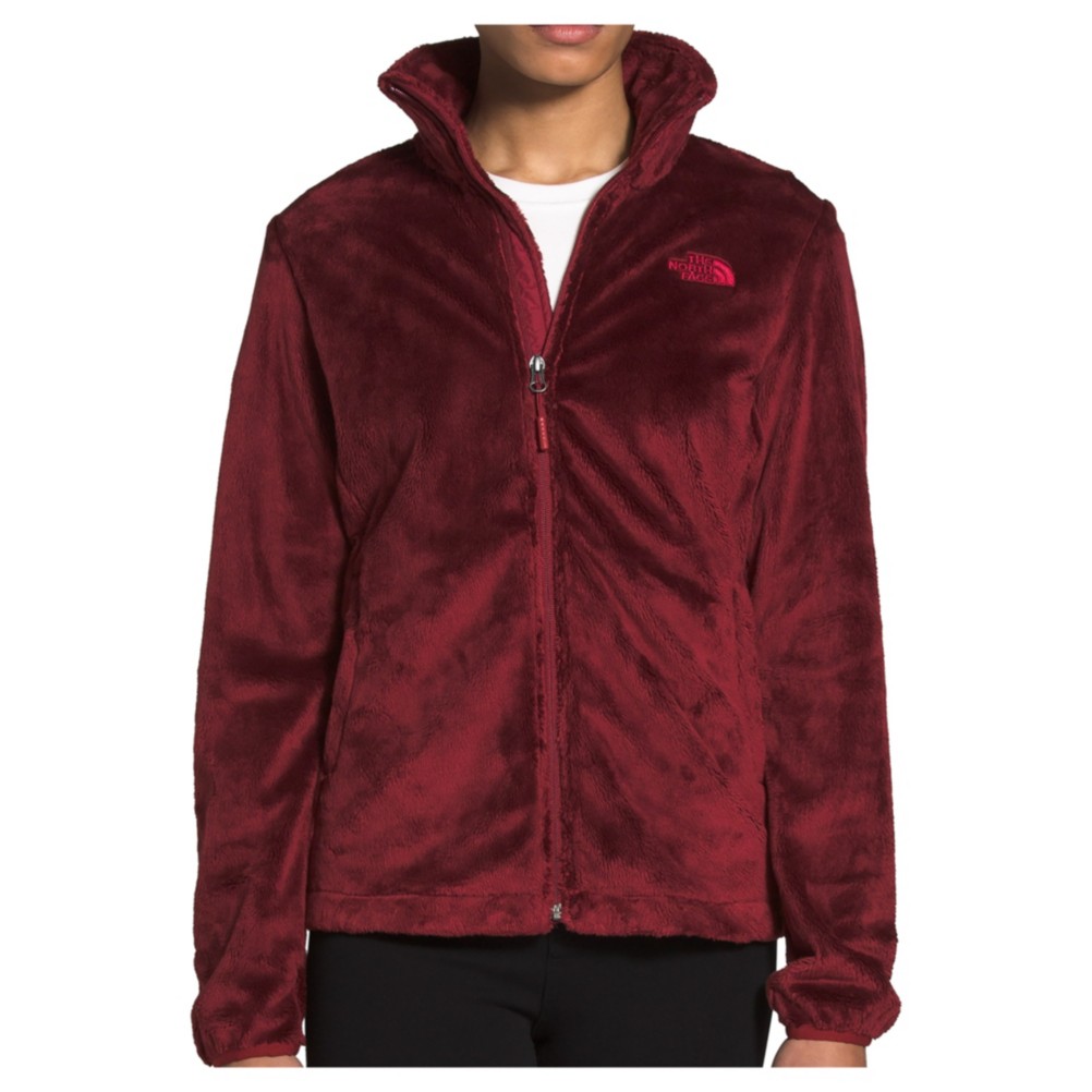 hooded osito north face